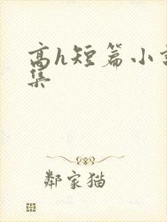 高h短篇小说合集封面