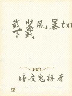 武装风暴txt下载