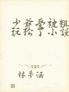 少爷受被粗汉H玩松了小说