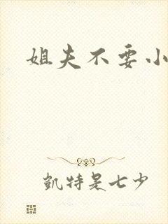 姐夫不要小说