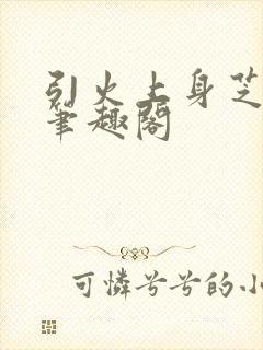 引火上身芝麻糖笔趣阁