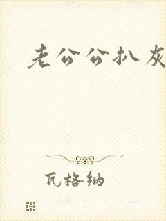 老公公扒灰小说封面