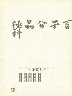 极品公子百度百科