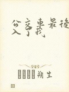 公交车最后一排入了我封面