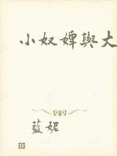 小奴婢与大少爷