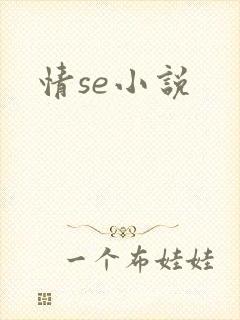 情se小说