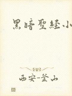 黑暗圣经小说