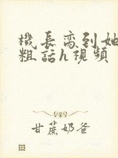 机长脔到她哭h粗话h视频