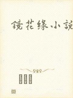 镜花缘小说