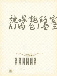 被喂饱的室友(h)肉包1受三攻封面