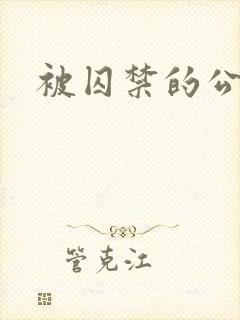 被囚禁的公主