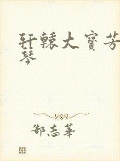 轩辕大宝芳菲雅琴封面