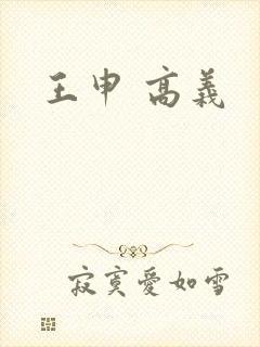 王申 高义