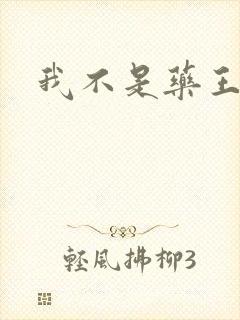 我不是药王