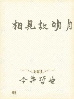 相见故明月