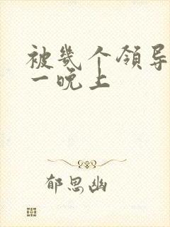 被几个领导玩弄一晚上