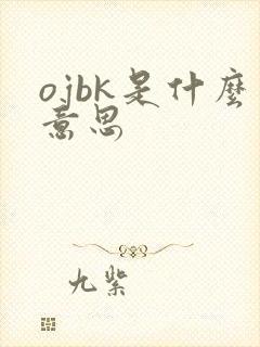 ojbk是什么意思封面