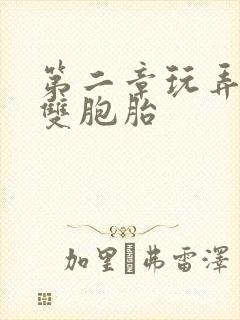 第二章玩弄少妇双胞胎