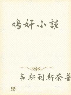 鸡奸小说