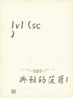 1v1 (sc)
