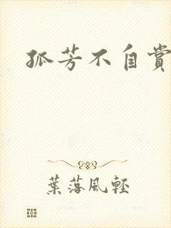 孤芳不自赏小说