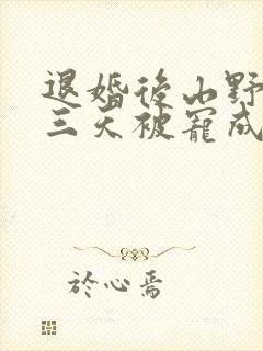 退婚后山野糙汉三天被宠成宝小说