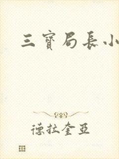三宝局长小说封面
