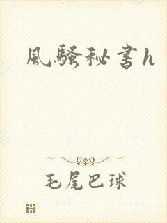 风骚秘书h