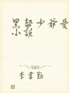 黑帮少爷爱上我小说封面