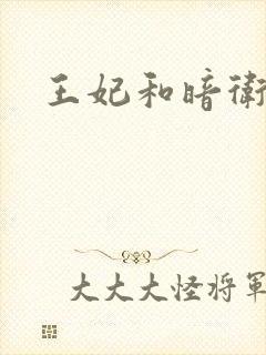 王妃和暗卫野H