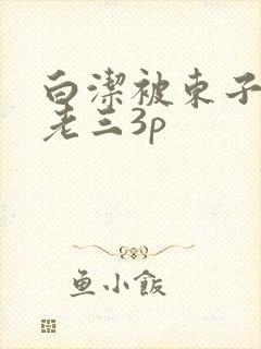 白洁被东子老二老三3p封面