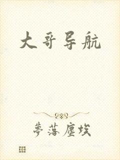 大哥导航