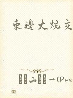 东边大炕交换