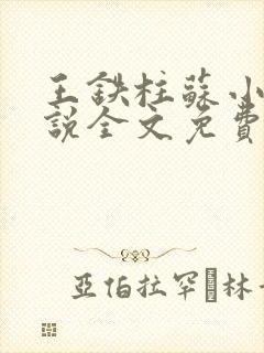 王铁柱苏小汐小说全文免费阅读最新章节
