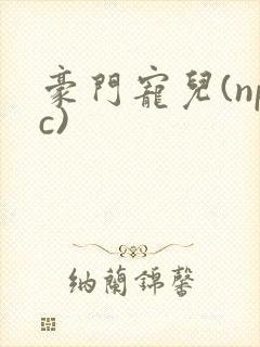 豪门宠儿(npc)