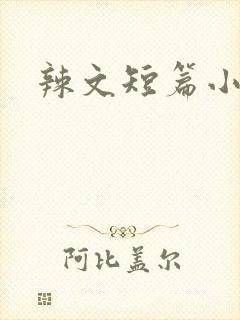辣文短篇小说