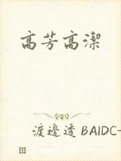 高芳高洁封面