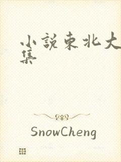 小说东北大炕全集