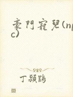 豪门宠儿(npc)