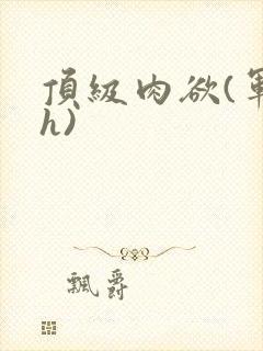 顶级肉欲(军高h)