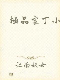 极品家丁小说