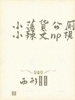 小荡货公厕h文小辣文np视频