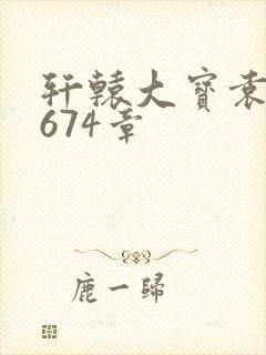 轩辕大宝袁雪妃674章