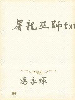 屠龙巫师txt