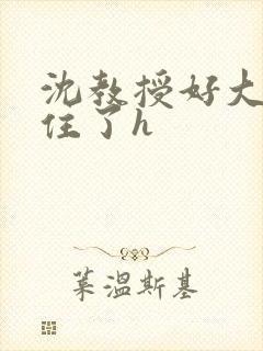 沈教授好大含不住了h