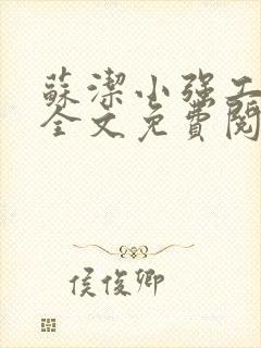 苏洁小强工地情全文免费阅读封面