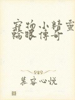 宠物小精灵之写轮眼传奇封面