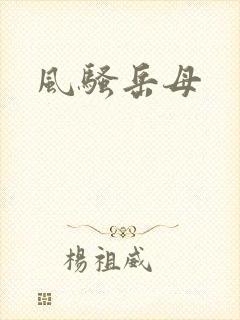 风骚岳母