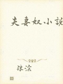 夫妻奴小说