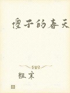 傻子的春天封面